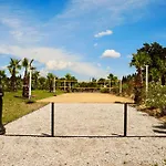 Mas La Farelle D'hote,fitness & Salle De Jeux Gratuite & En Supplement Frühstückspension 4*