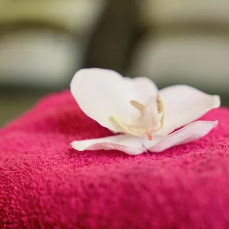 D'hote,fitness&billard Gratuit&spa Mas La Farelle Nîmes