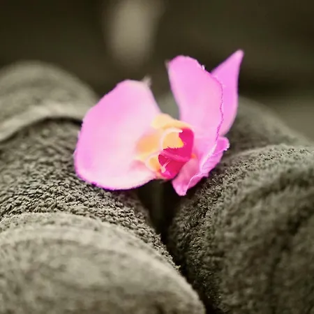 D'hote,fitness&billard Gratuit&spa Mas La Farelle Couette-café