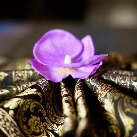 D'hote,fitness&billard Gratuit&spa Mas La Farelle Couette-café Nîmes