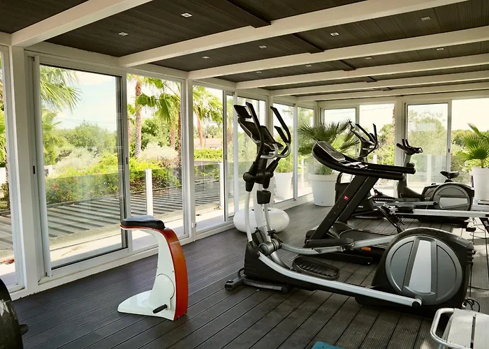 Mas La Farelle D'hote,fitness & Salle De Jeux Gratuite & En Supplement 4*