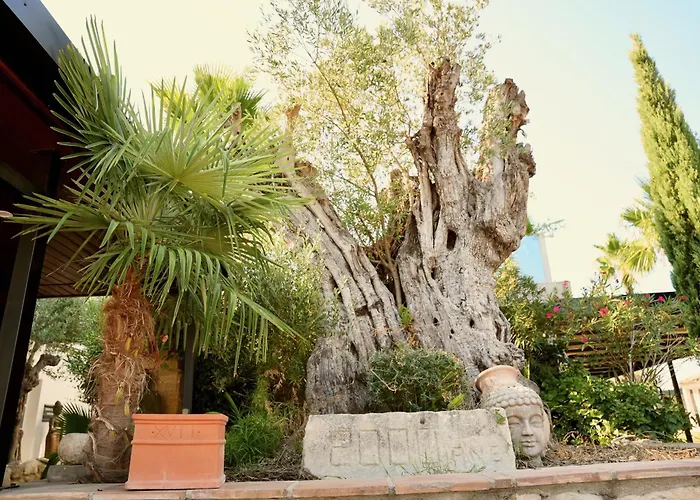 Bed & Breakfast Mas La Farelle D'hote,fitness & Salle De Jeux Gratuite & En Supplement Nimes